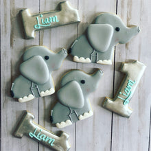 Load image into Gallery viewer, One year old Theme Cookies