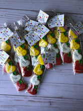 Load image into Gallery viewer, Mini School cookies in a bag