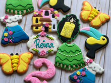 Load image into Gallery viewer, Encanto Cookies