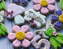 Load image into Gallery viewer, Fairy Theme Cookies