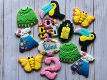 Load image into Gallery viewer, Encanto Cookies