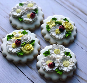 Ladybug Theme Cookies