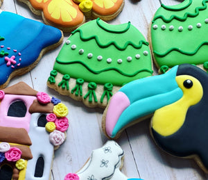 Encanto Cookies