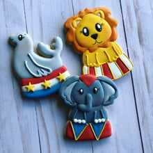 Load image into Gallery viewer, Carnival theme  Cookies