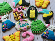 Load image into Gallery viewer, Encanto Cookies