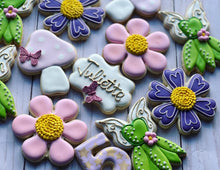 Load image into Gallery viewer, Fairy Theme Cookies