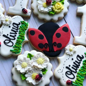Ladybug Theme Cookies